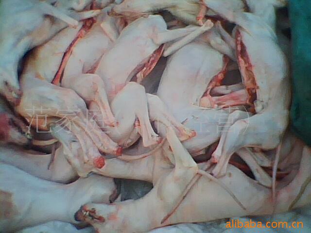 批发批发白条狗肉,带皮狗肉