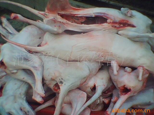 批发批发白条狗肉,带皮狗肉