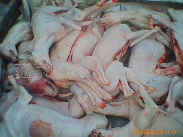 批发批发白条狗肉,带皮狗肉