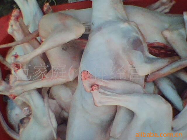 批发白条狗肉,带皮狗肉活狗