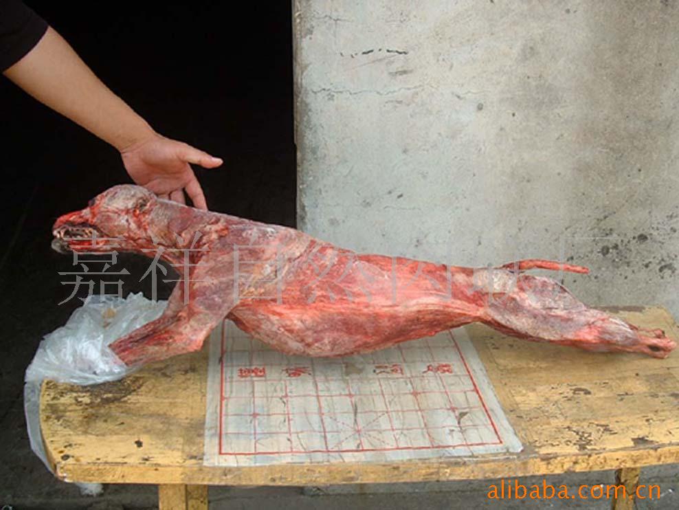 剥皮狗、白条狗肉,刮皮狗,狗精肉,驴肉、羊肉、牛肉