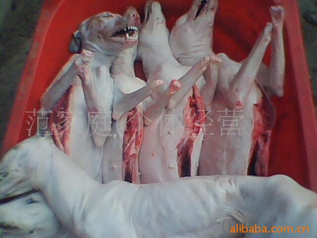 批发批发白条狗肉,带皮狗肉