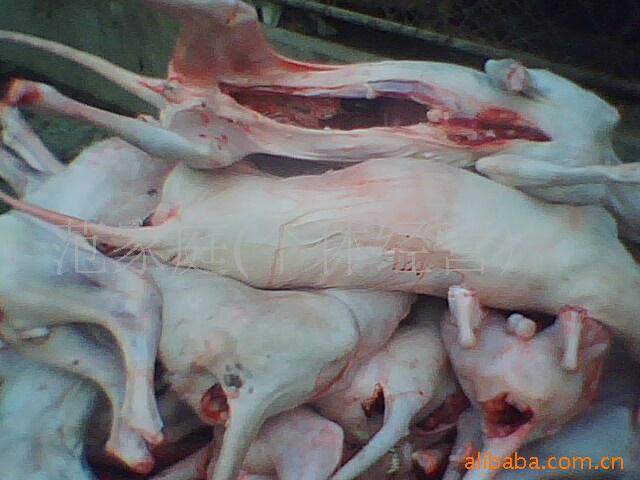 批发批发白条狗肉,带皮狗肉