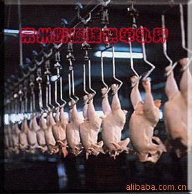 冷冻狗肉,猪肉,牛肉,羊肉电子秤等等