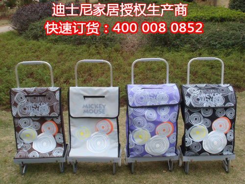 ʿ˼Ҵ˹ﳵ۵40kg