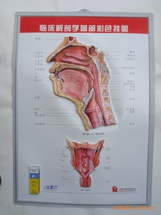 PVC滭廭