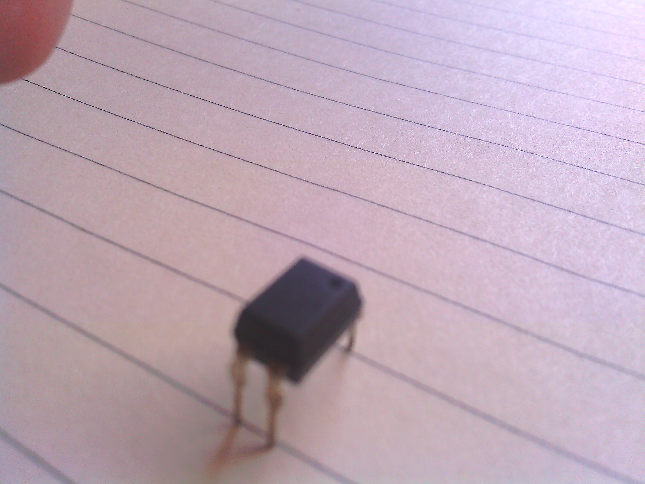 ˳¹