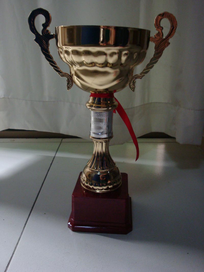 2012年龙岗"巴马三生杯"开幕式奖杯定做