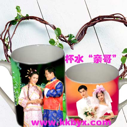 䱭䱭豸