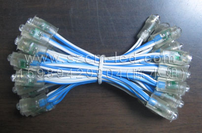 LEDƵƴ