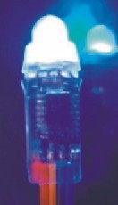 ֱLEDȫʳ,LEDȫ¶,