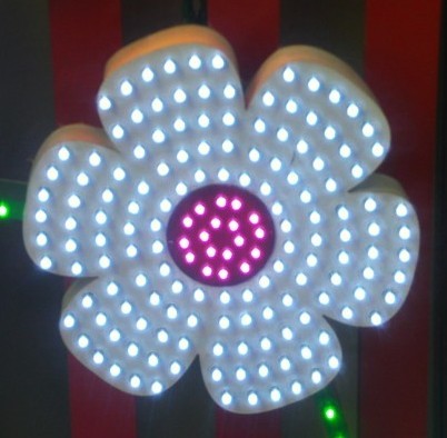 LEDˮ¶ʶ