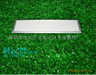 ֱLED300*600MM