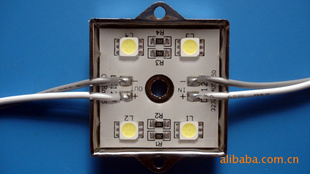 LED5050׹ĵǷˮģ鳧ֱ