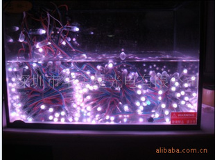 LED/ˮ////5Vȫѹ/ƴ