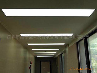 ֱ60*60LEDƽ/LEDܵ
