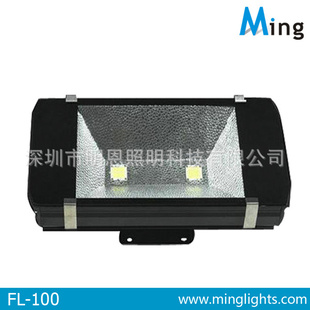 LEDFL-100WγԴ3