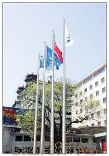 ƶֶ綯׶ʽ