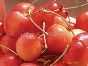 110˱续Ϸд汳续