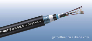 ֱ˫׹(GYSTA53)