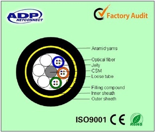 ADSS-24BADSS-48BADSS-12B300ȫԳʽ