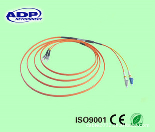 ֱߵĤģ3.0mm
