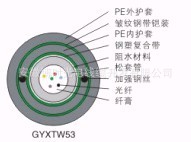 GYXTW53ֱ£׼ʽǿ