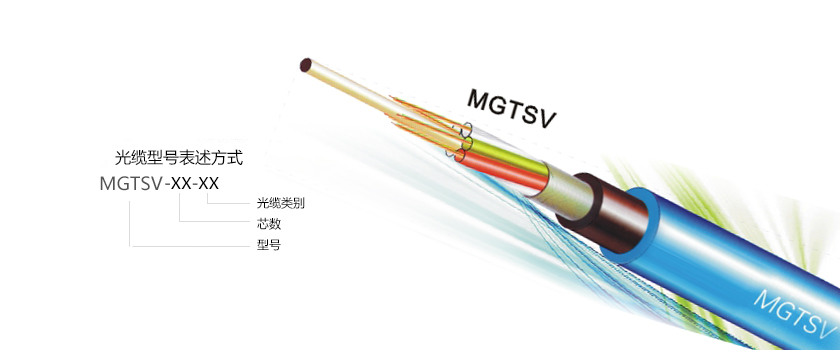 MGTSVĹܹ_MGTSV-12b1¼۸_