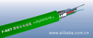 ADSS/ǽ