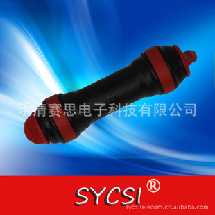 ¹ֱֱܵͨͷ12mm
