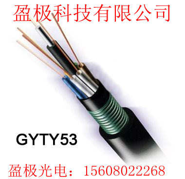 ADSS-48B1-AT-300Ϲ