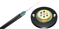 CNFIBERNET6оģ
