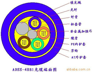 ADSS