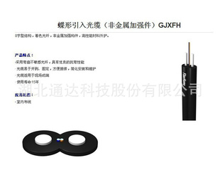 ȷǽǿƤ߹GJXFH-2B6˫оFTTHƤ߹