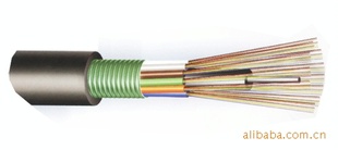 GYTSGYTAṩOEMʩ