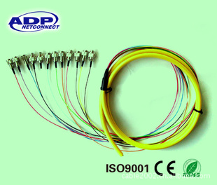 ҹߵĤģ3.0mm
