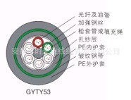 室外普通铠装光缆,GYTY53光缆(生产和销售)