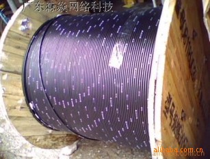 綩ָ