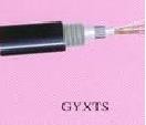 ٶƼ-GYXTSؼGYXTS