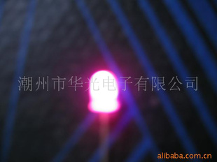 ֱȫ¸Ϲ