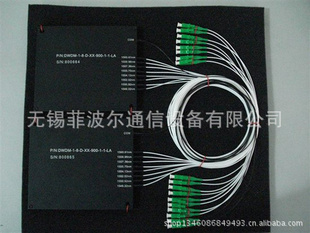 100GDWDMָ