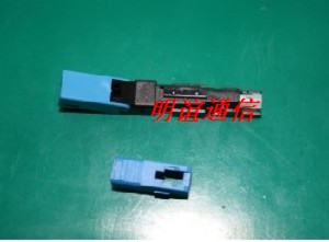 Ƥ߹˿