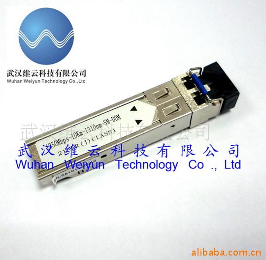Pģ1.25Gb/sDDM