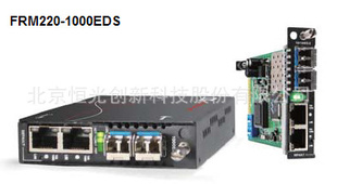 շFRM220-1000EDSfrm220-1000eds