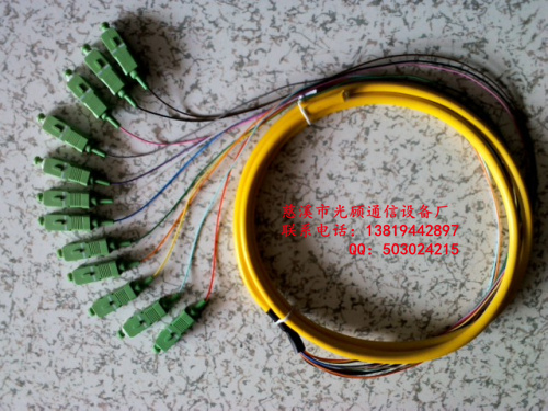 SCapc12о״βSCAPC12о״β˱