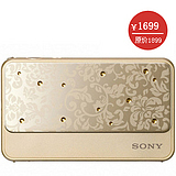 DSC-T99DCT99D