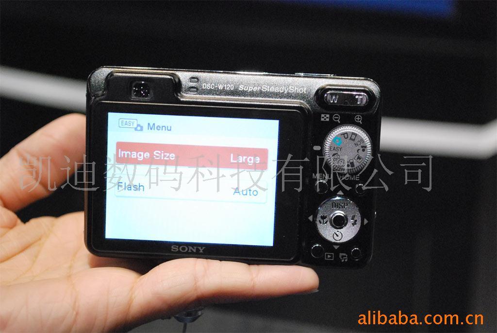 W120sony