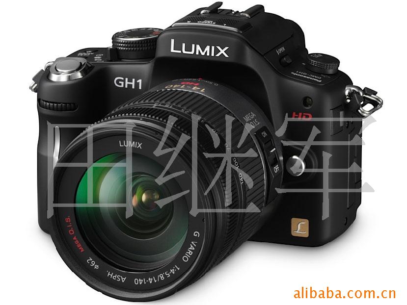 DMC-GH1(14-140mm