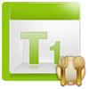 T1-