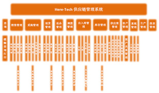 ϵͳ(Here-TechSCM)